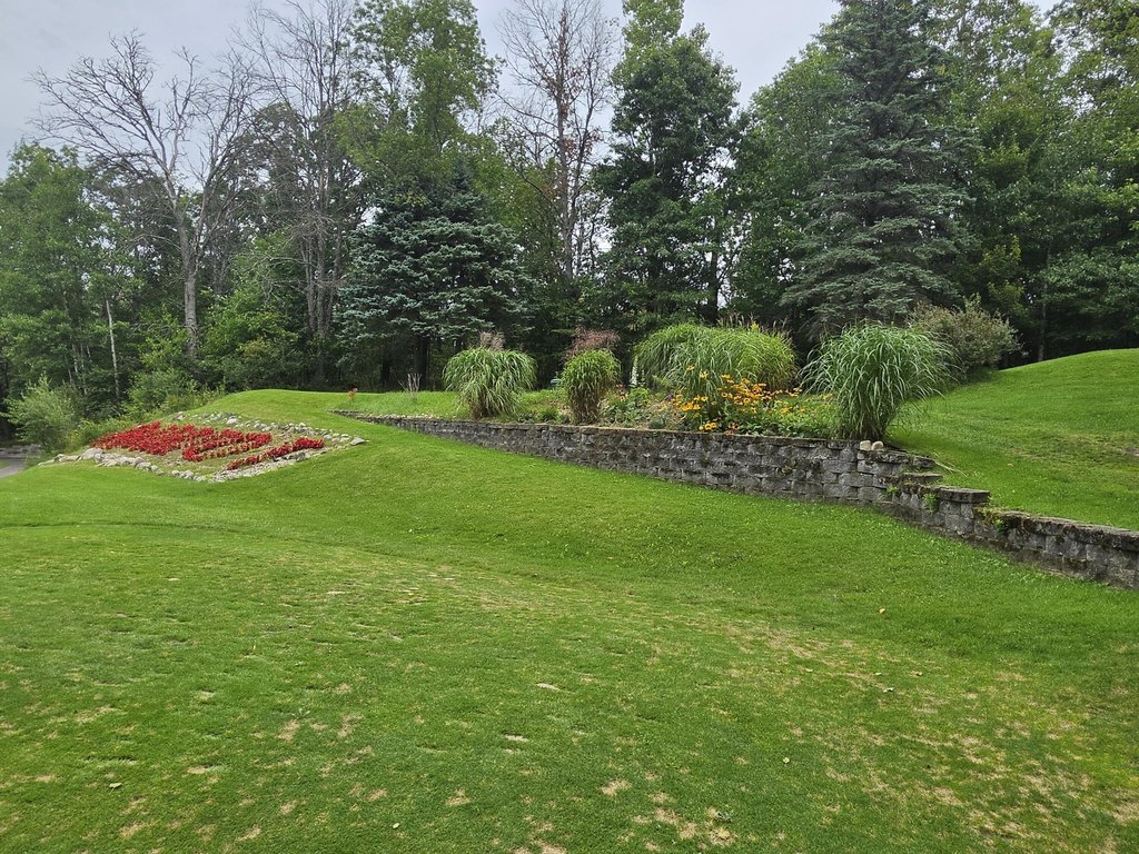 Picture 19