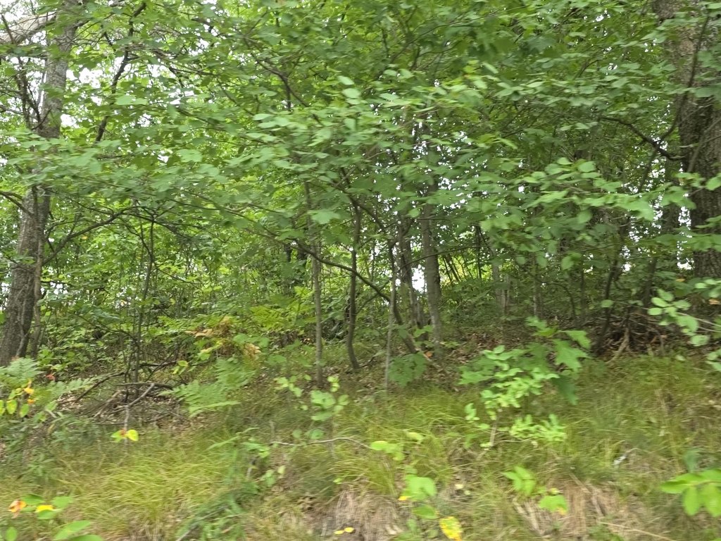 Picture 23