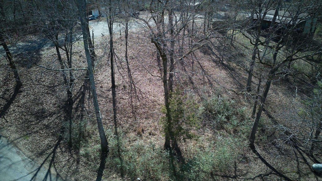 Picture 7