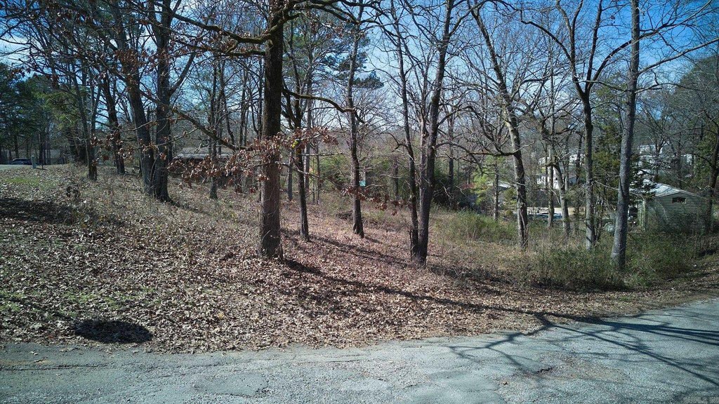 Picture 9