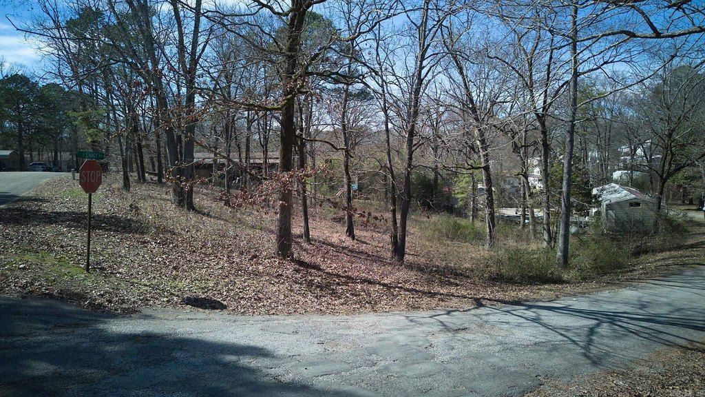 Picture 10