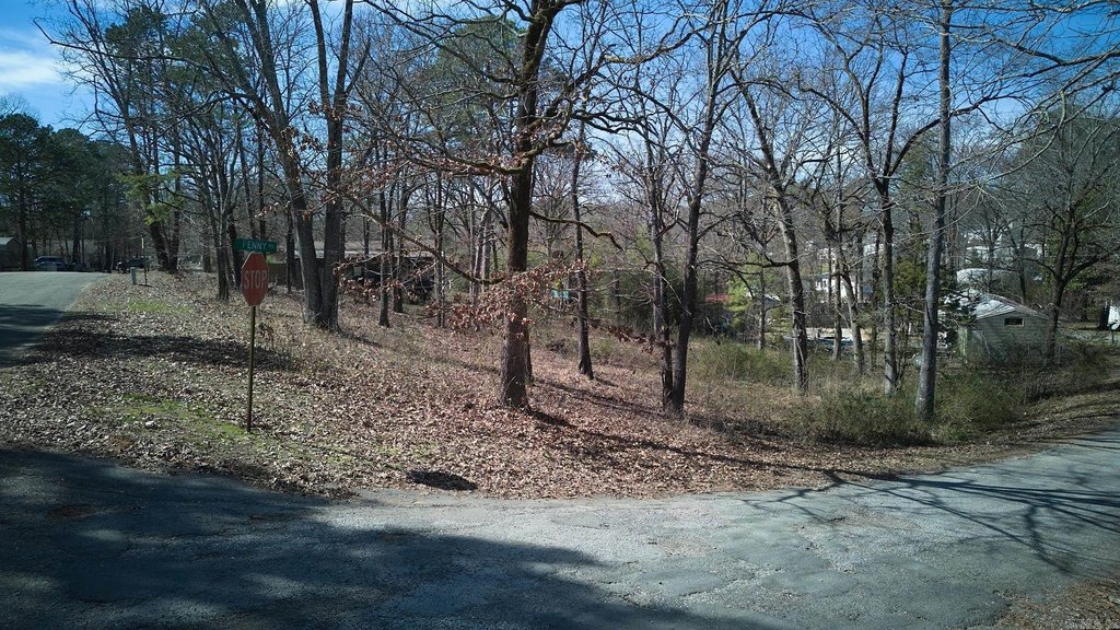 Picture 11