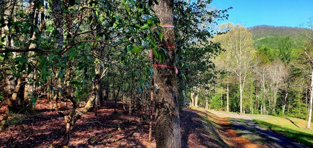 Hayesville Vacant Lot with River Access