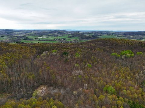 Hunting and Recreation Land with Water Features