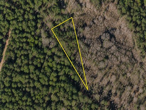 LAND, Greeleyville, SC