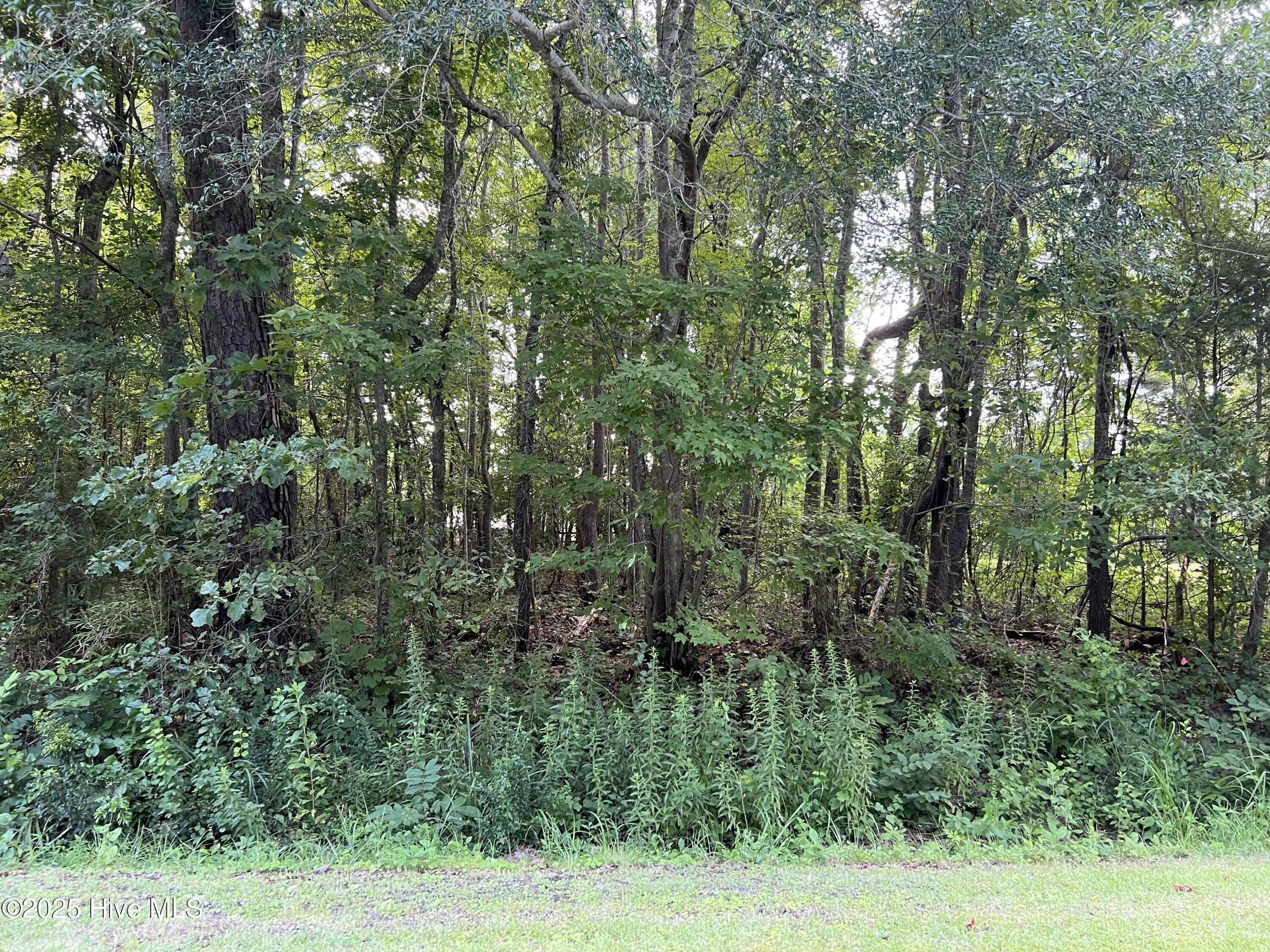 Waterfront Land Near Historic Edenton