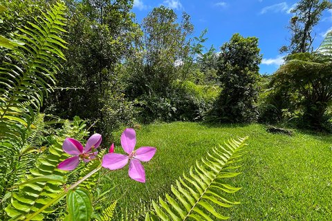 Land, Pahoa, HI