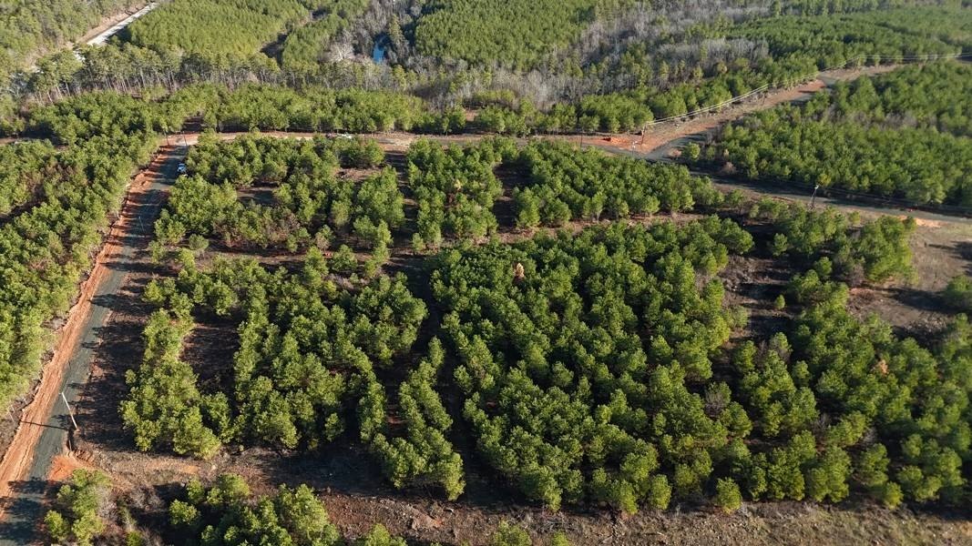 Land for Residential Development