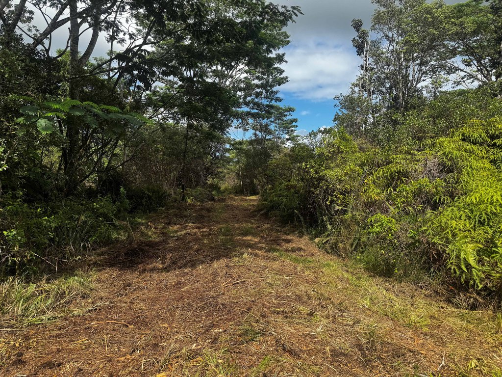 Picture 24