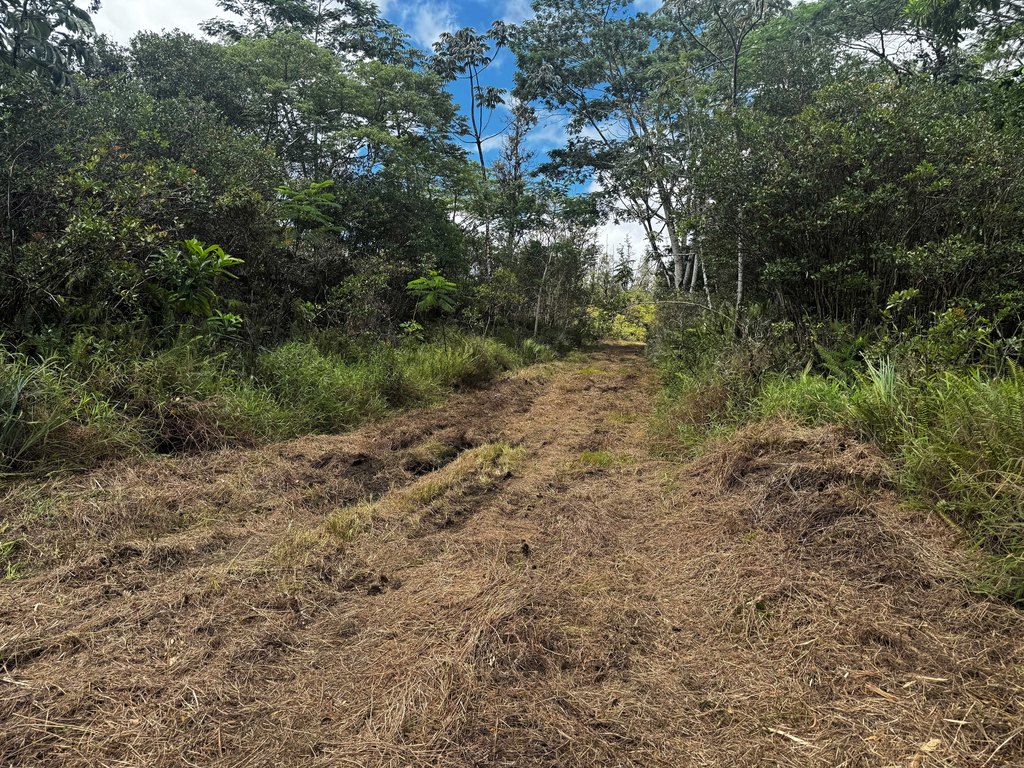 Picture 25