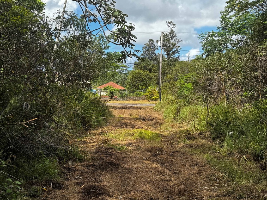 Picture 26