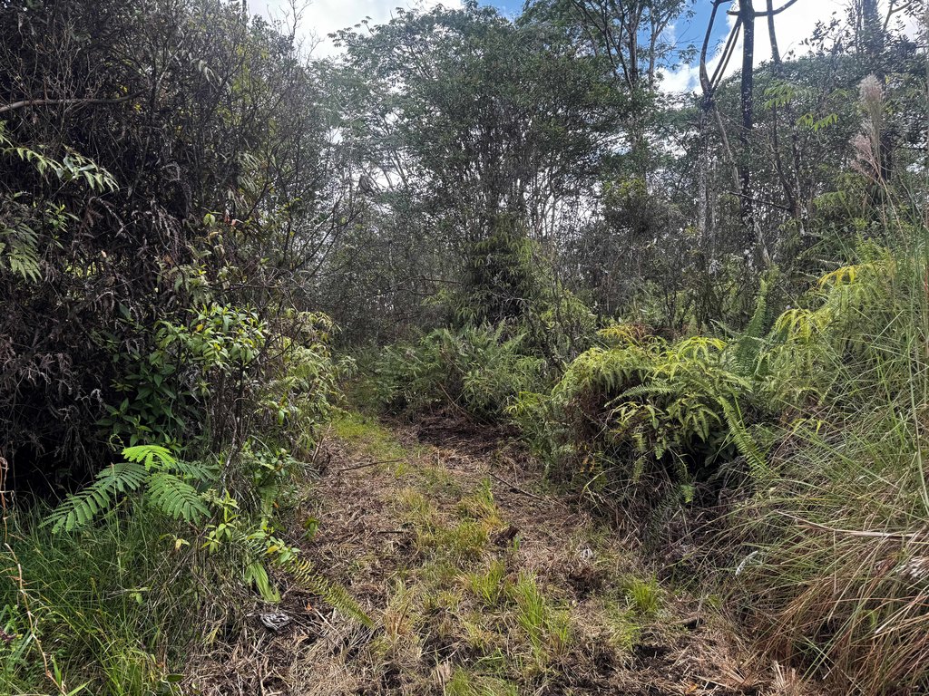 Picture 22