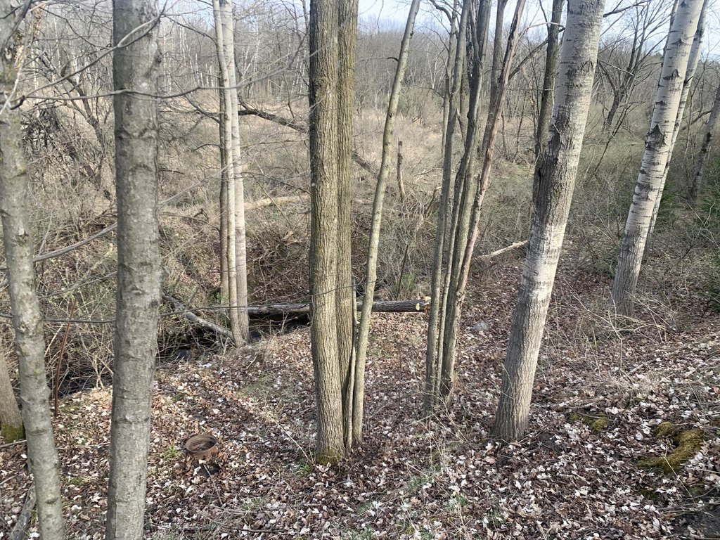 Picture 6
