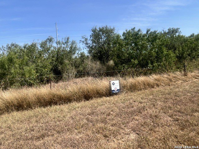 Picture 2