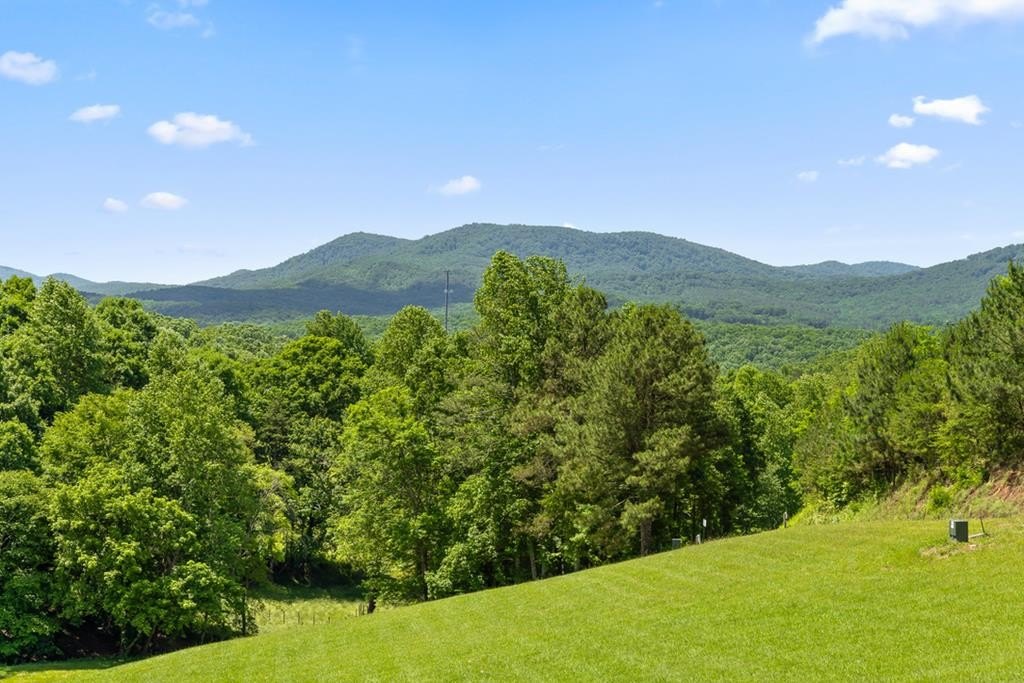 Morganton, GA Vacant Lot