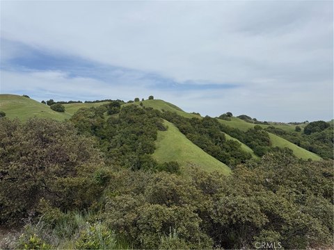 Agricultural Land Parcel