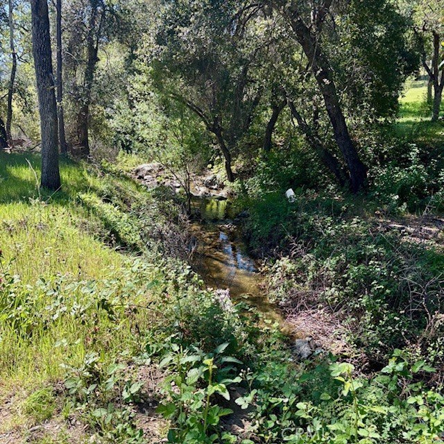 36.83 Acres of Land