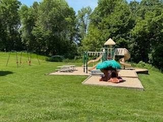 Picture 13