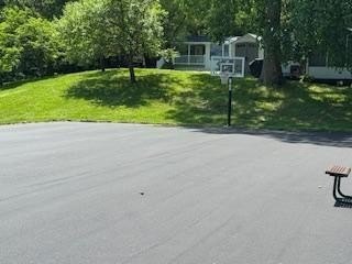 Picture 15