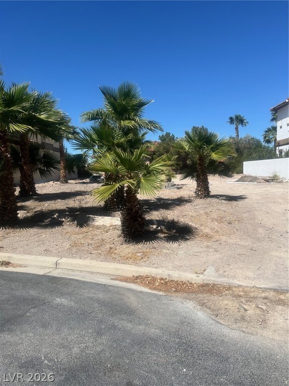 Picture 10