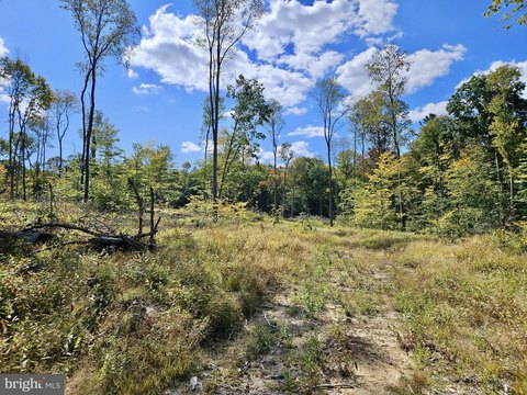 Serene Clarion County Land Parcel