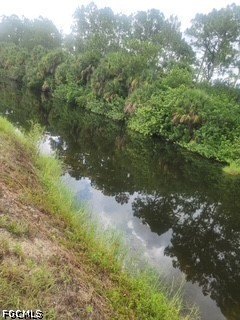 Picture 2