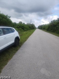Picture 4