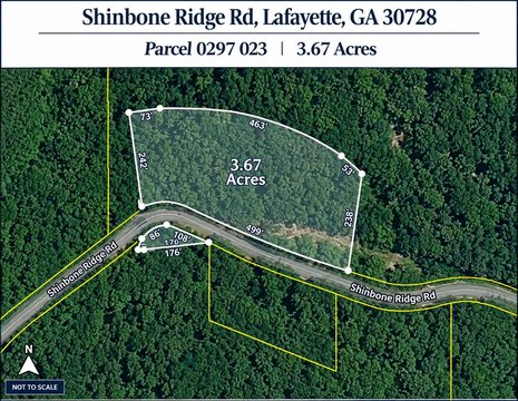 Wooded Land Parcel
