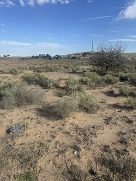 Land, Los Lunas, NM