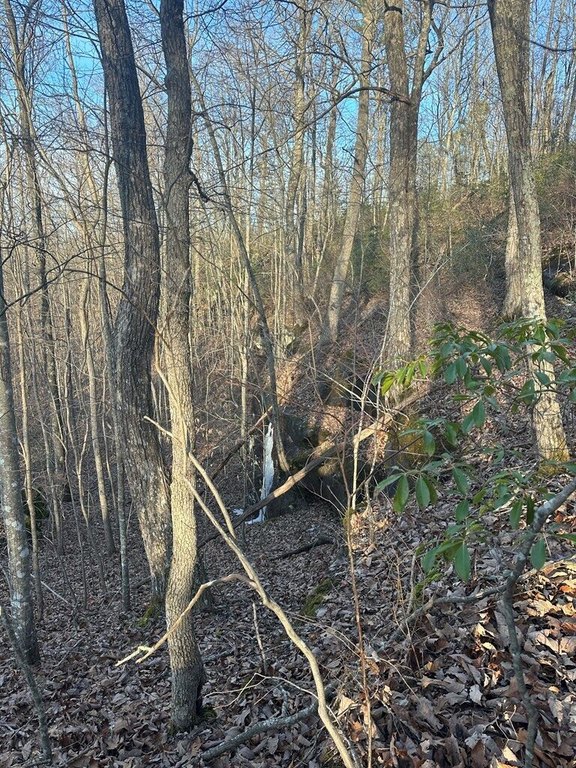 Picture 12