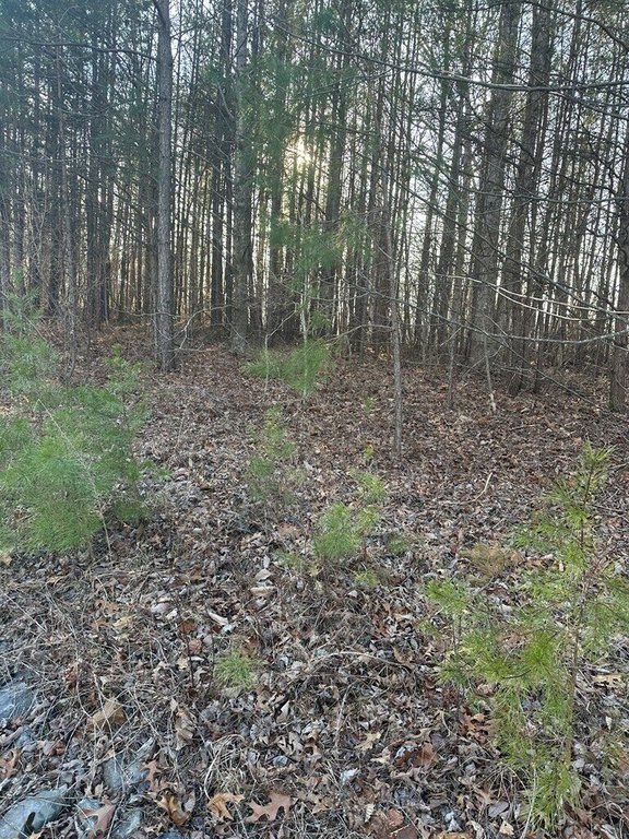 Picture 24