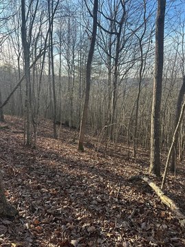 Land, Wilder, TN