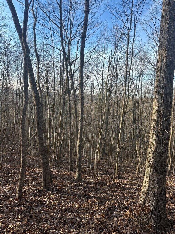 Picture 18