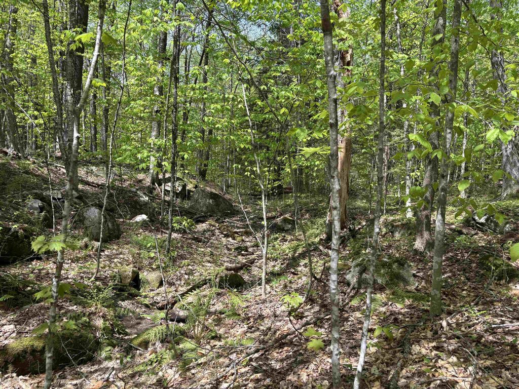 Picture 17