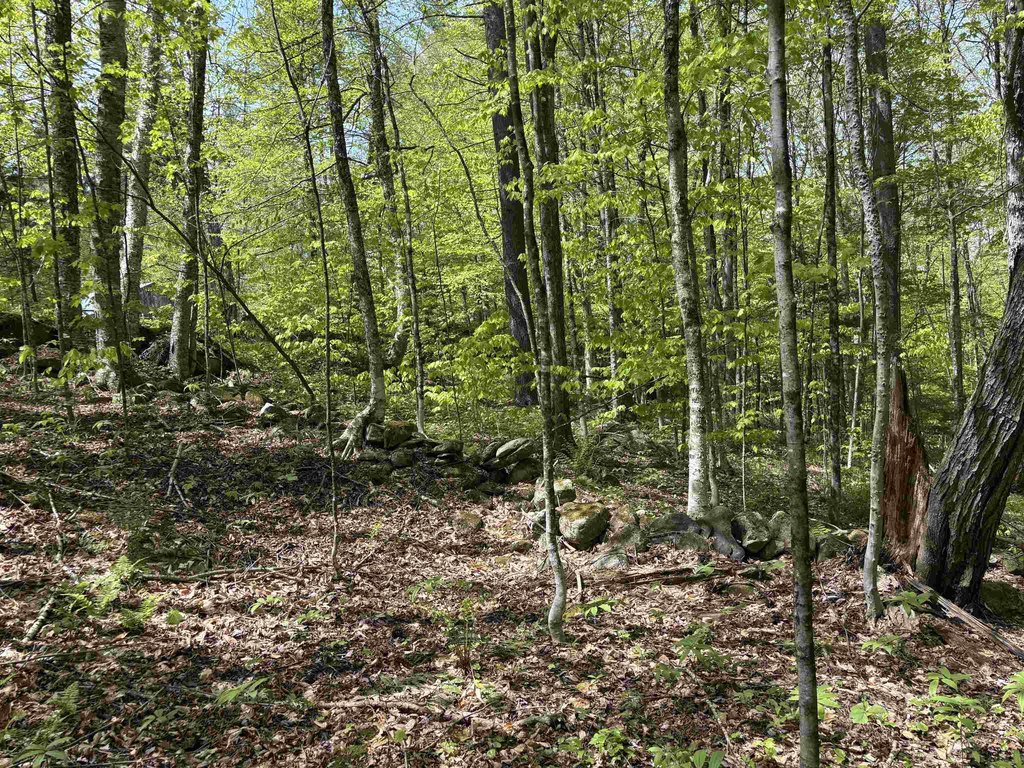 Picture 18