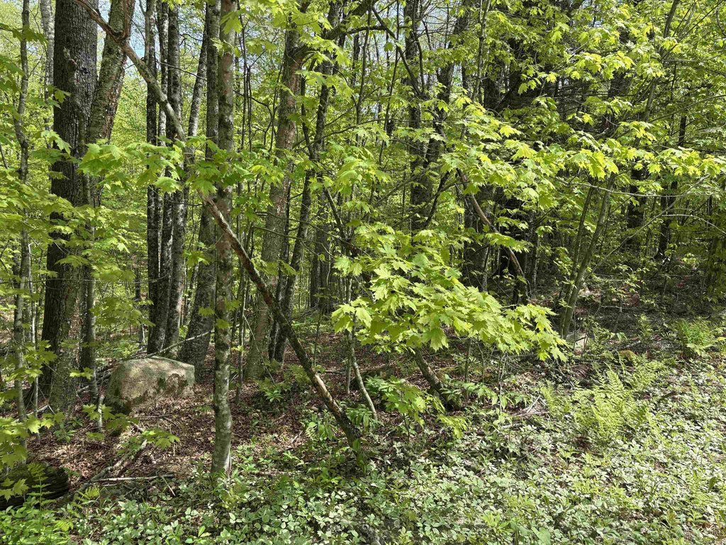Picture 19