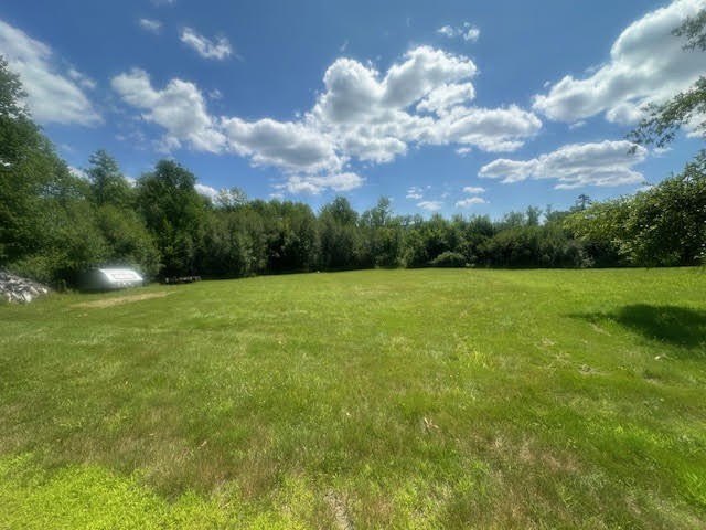 Picture 15