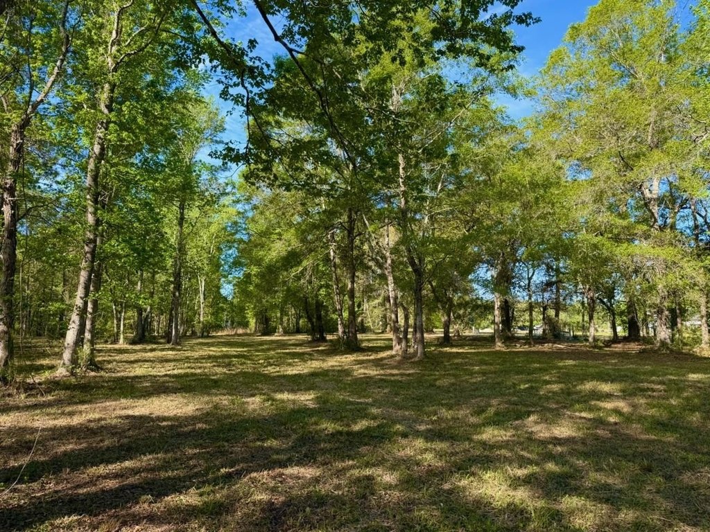 Picture 12