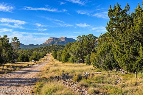 Land, Seligman, AZ