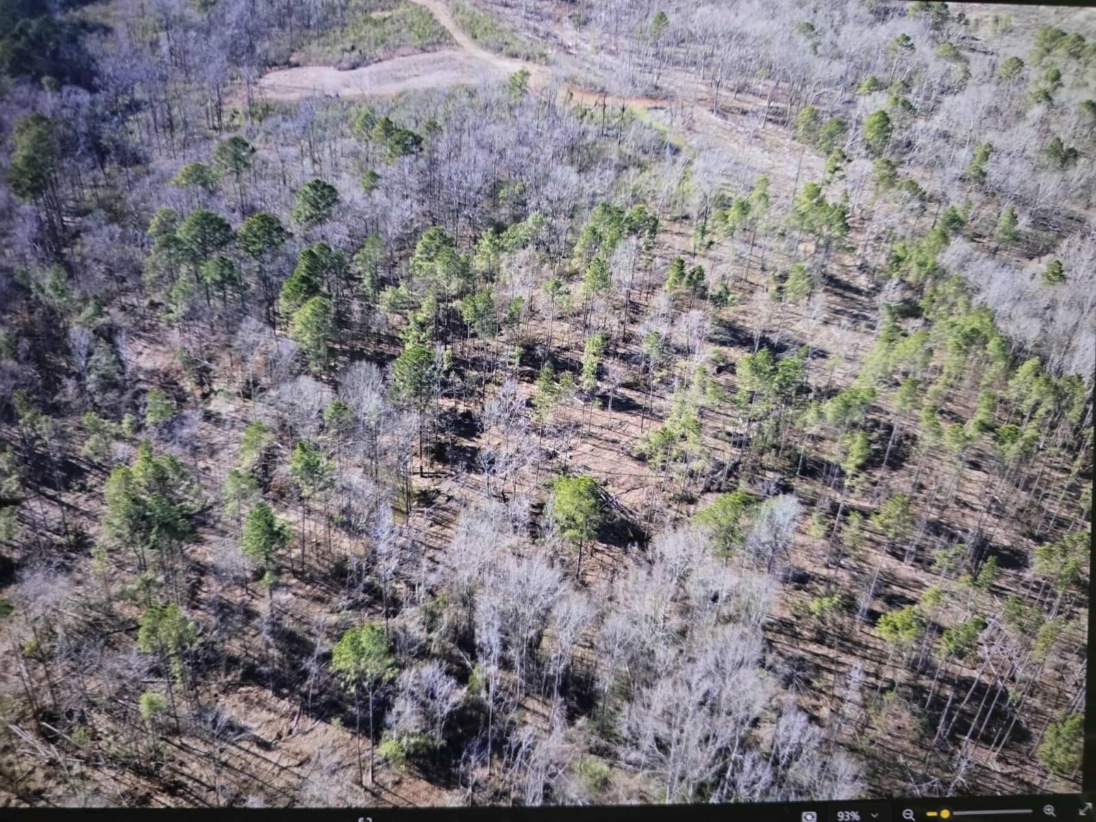 Unrestricted Land For Sale