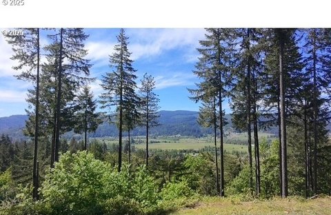 Springfield Land with Stunning Views