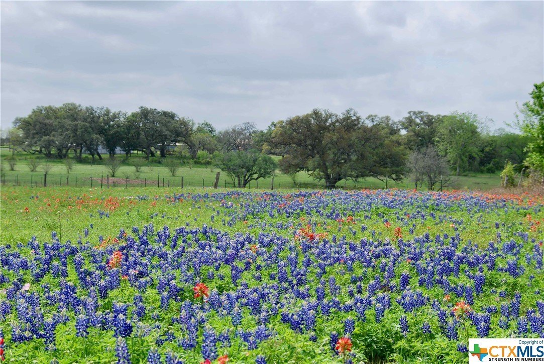 Shiner, TX Land For Sale
