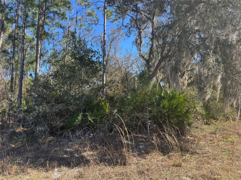 Picture 4