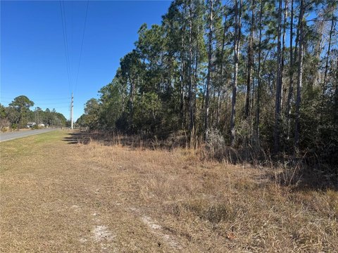Land, DELAND, FL