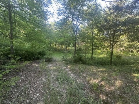 Residential Lot with Creek View