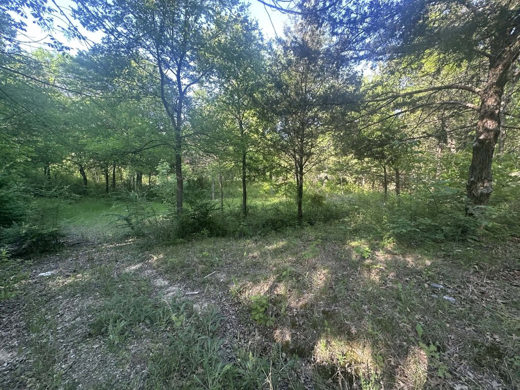 Picture 3