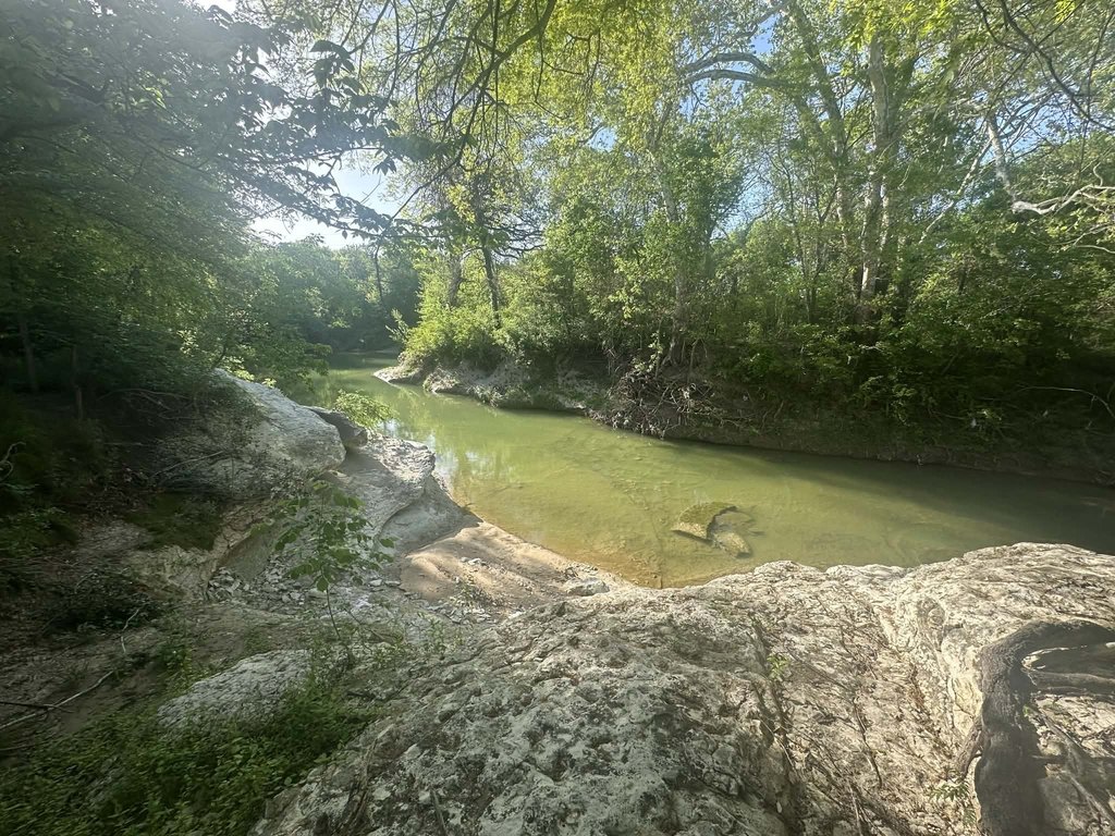 Picture 6