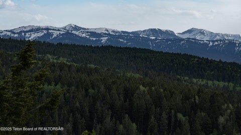 Forested Land in Mountainside Community