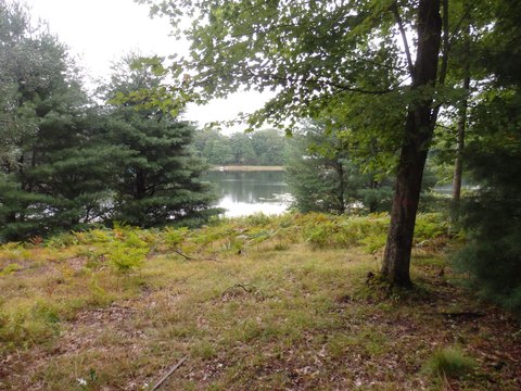 Wooded Lot on Shingle Mill Lake