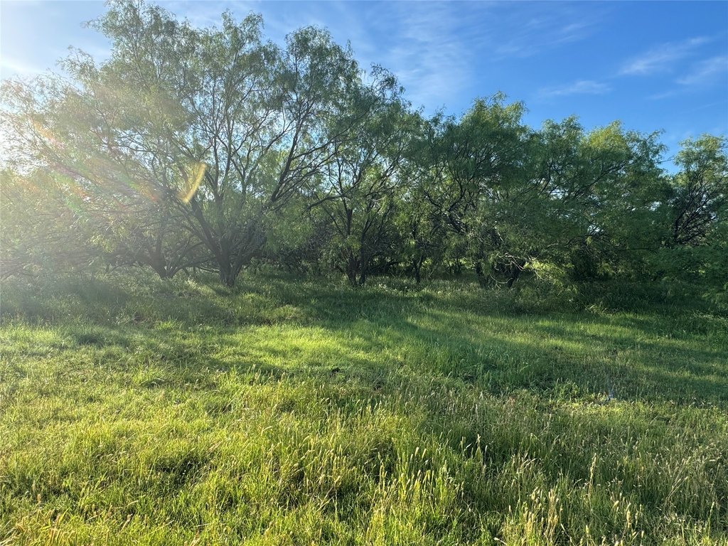 Picture 23
